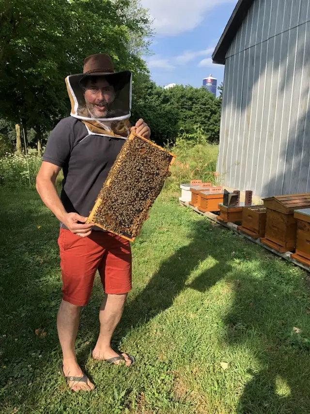 Intro to Beekeeping Course - Photo 7