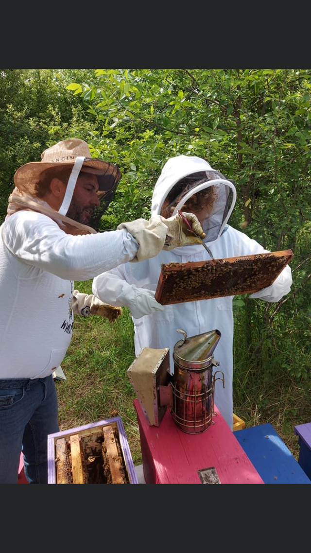 Intro to Beekeeping Course - Photo 8