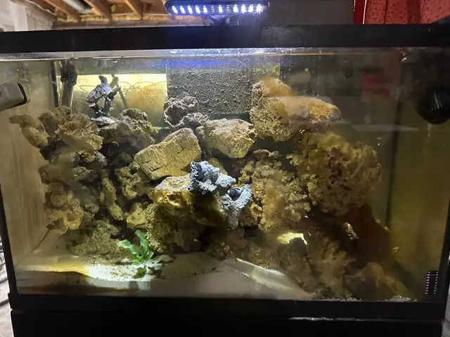 Aquariums/Accessories/Heaters/Filters/Live Rock