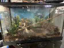 Aquariums/Accessories/Heaters/Filters/Live Rock - Photo 2