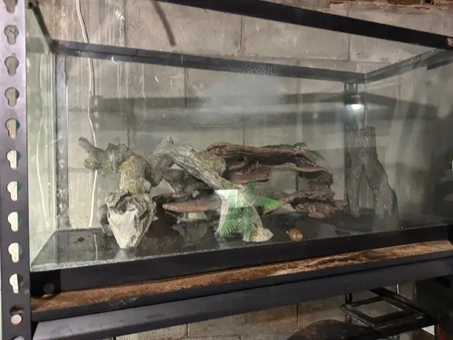 Aquariums/Accessories/Heaters/Filters/Live Rock - Photo 4