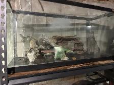 Aquariums/Accessories/Heaters/Filters/Live Rock - Photo 4