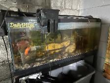 Aquariums/Accessories/Heaters/Filters/Live Rock - Photo 5