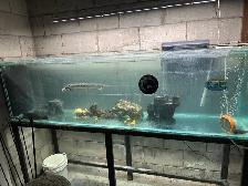 Aquariums/Accessories/Heaters/Filters/Live Rock - Photo 6