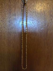 shiny gold like  thicker chain