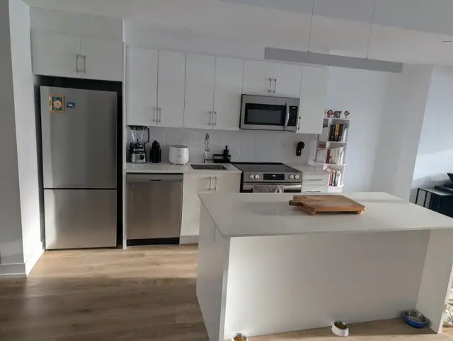 LEASE ASSIGNMENT (2 YEARS)  1 BEDROOM   DEN (1002 sqft.) - Photo 4