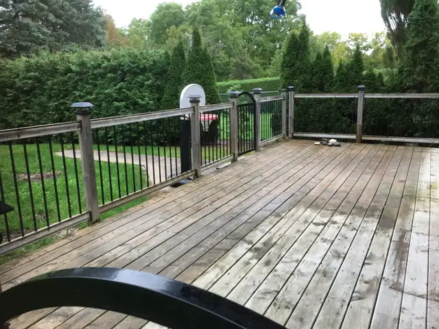 Apartment, 2 Bedrooms- Basement Walk Out - Photo 9