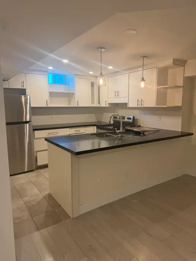 Basement for Rent (Pine Valley/Highway 7) - Photo 8