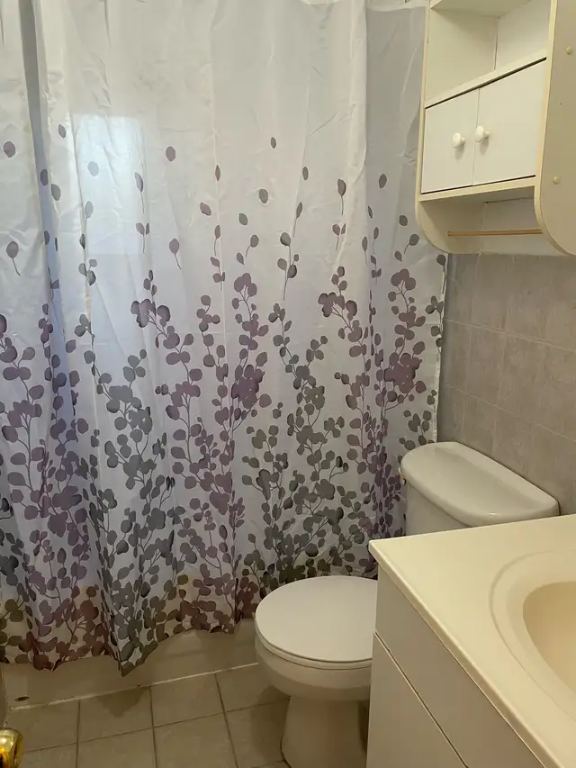 Ossington near Bloor - 2-bedroom flat apartment in Toronto home - Photo 5