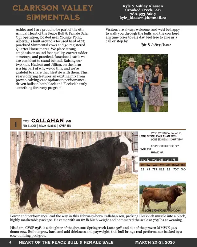 Yearling Simmental Bulls For Sale