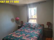 3 Bedroom Main Floor For Rent - Photo 5