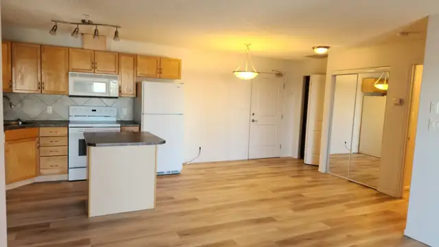 Modern 2 Bed / 2 Bath Condo with Heated Underground Parking – SW - Photo 4