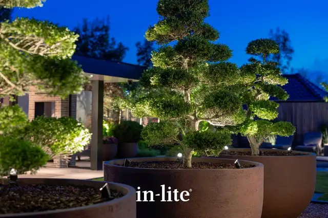 Landscape Lighting - Photo 3