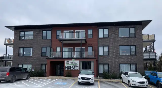 PET FRIENDLY! Apartment is VACANT! Occupancy is fkexible! - Photo 3