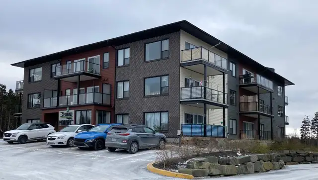 PET FRIENDLY! Apartment is VACANT! Occupancy is fkexible! - Photo 17