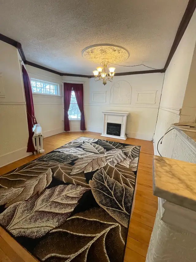 comfortable and quiet - Photo 9