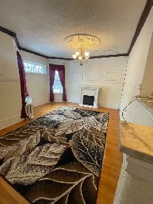 comfortable and quiet - Photo 9