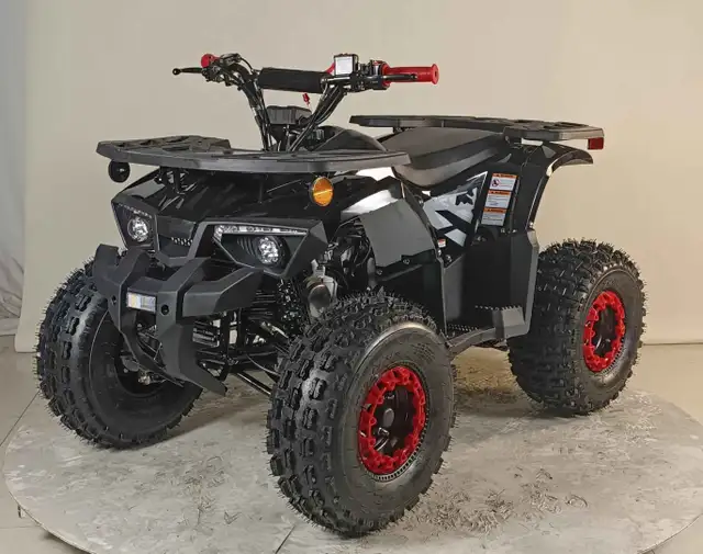 Riding Mower, Chainsaw & Pressure Washer Repair – Affordable - Photo 9