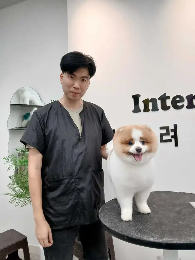 Ken the pet groomer - Photo 6