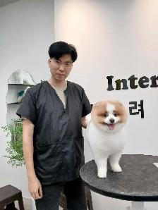 Ken the pet groomer - Photo 6