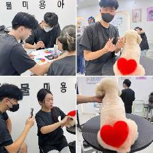 Ken the pet groomer - Photo 9