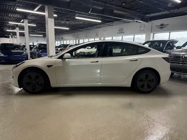 2023 Tesla Model 3 No Accident l StandardRange l RWD l Tesla War - Photo 4