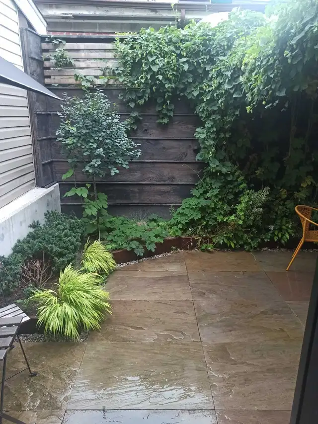 CHEAP SPRING YARD CLEANUPS/GLOWUPS! 647-571-9326