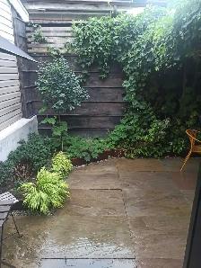 CHEAP SPRING YARD CLEANUPS/GLOWUPS! 647-571-9326