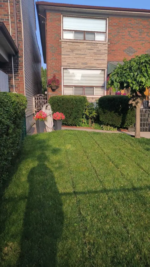 CHEAP SPRING YARD CLEANUPS/GLOWUPS! 647-571-9326 - Photo 8