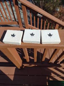 1867-1982 Canadian confederation nickel dollars mint in case