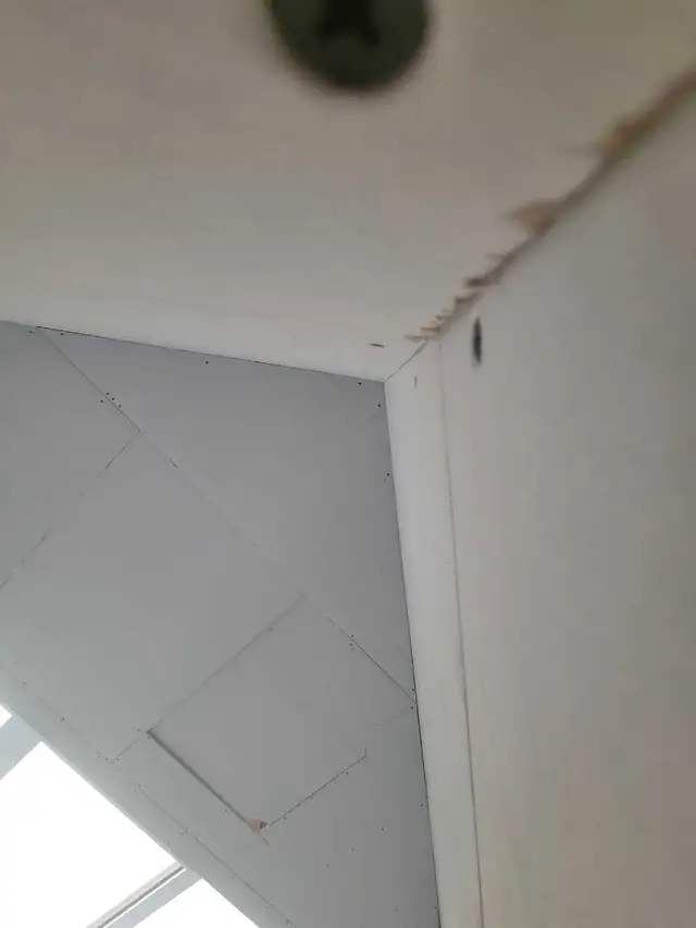 Hiring labourers and/or professional drywallers. board and/o - Photo 7