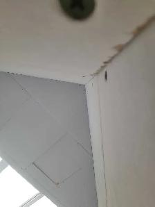 Hiring labourers and/or professional drywallers. board and/o - Photo 7