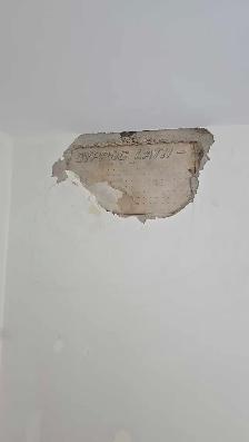 painter painting - Photo 4