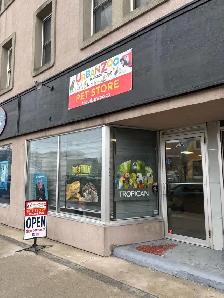 Hand raised Baby green cheek conure - Photo 4