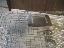 Live Animal Cage Trap, BRAND NEW - Photo 3