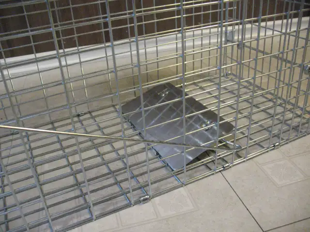 Live Animal Cage Trap, BRAND NEW - Photo 7