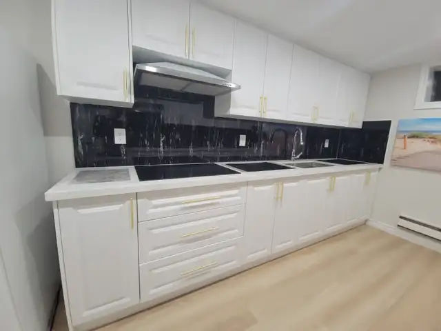 Spacious Bachelor Suite with Walk-Out to Backyard and Large Kitc - Photo 3