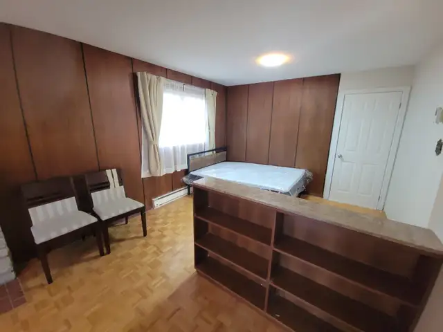 Spacious Bachelor Suite with Walk-Out to Backyard and Large Kitc - Photo 7