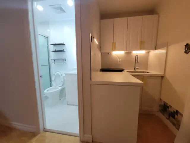 Spacious Bachelor Suite with Walk-Out to Backyard and Large Kitc - Photo 8