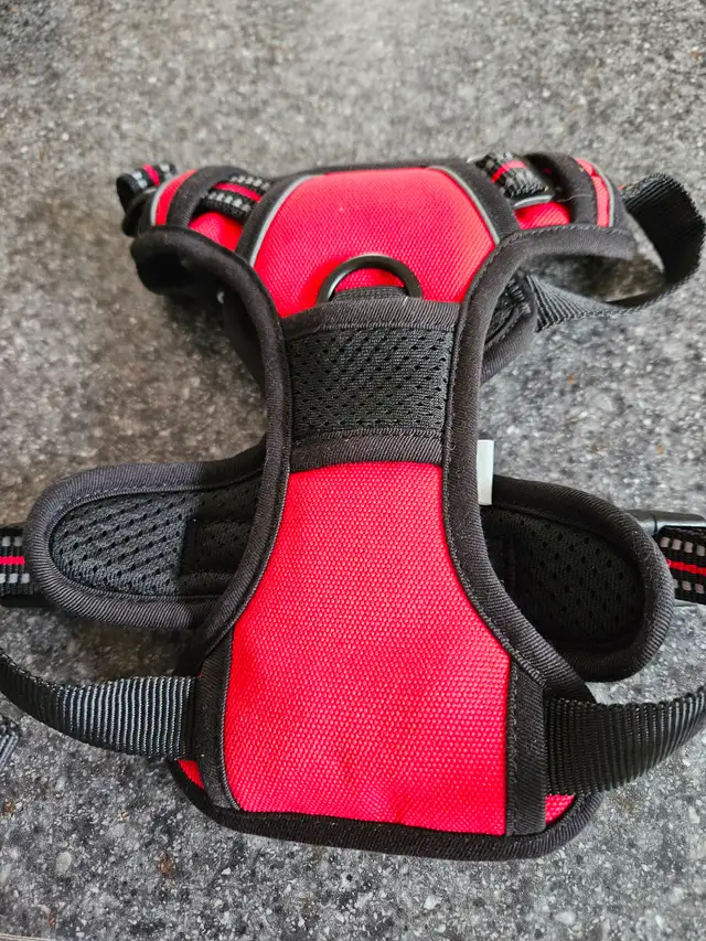 New Small dog harness - Photo 2