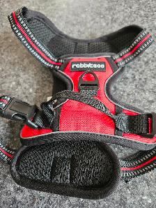 New Small dog harness - Photo 3