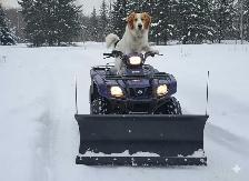 Land SEVERANCE application