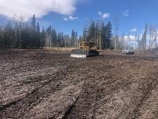 Land clearing - Photo 2