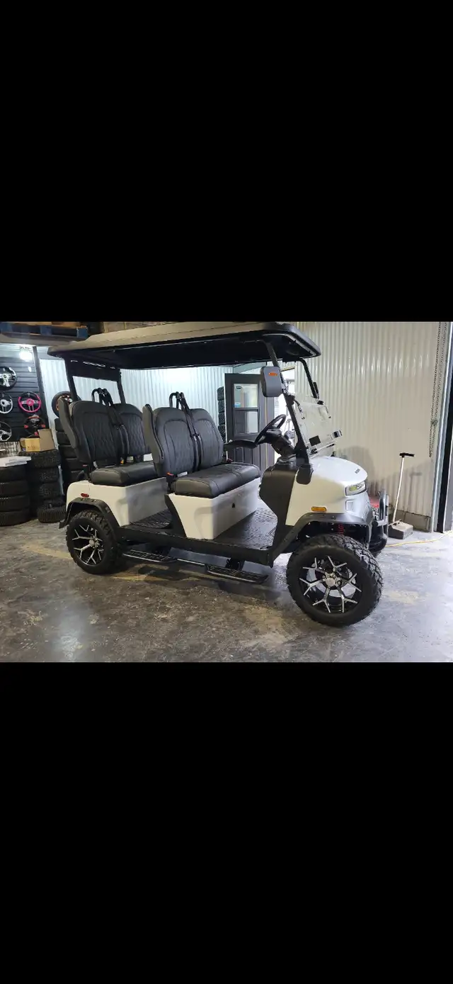 Voiturette de golf Saguenay - Photo 2