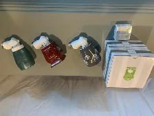 Scentsy Plug in Warmers - Photo 2