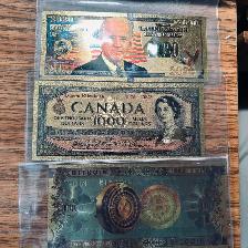 ONE JOE BIDEN JR. 2020 BILL 24K FOILONE NEW GOLD FOIL CANADIAN