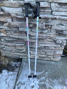Kids Ski Poles