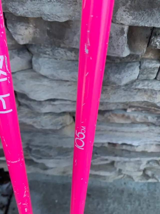 Ski Poles - Photo 2