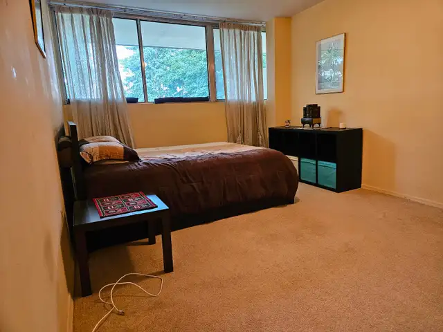 Two employed male adults looking for a third roommate