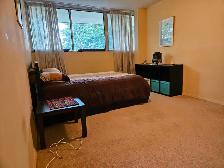 Two employed male adults looking for a third roommate